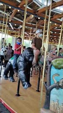 Brookfield Zoo Carousel Ride