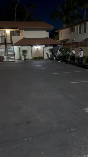 Another successful social class! Want access to our free weekly social classes? Call and become a client today to gain access! Call/text us at (619)500-4787 #devotiontodogs #socialclass #cometrainwithus | Devotion to Dogs, INC