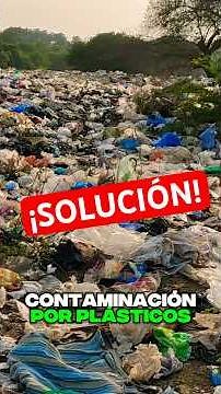 The Surprising Solution to Plastic Pollution