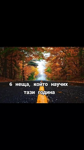 Tranquil Nature Scenes: The Beauty of Autumn Landscapes