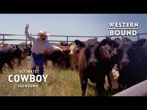 Will This CATTLE WRANGLING Challenge Be Too Much For These Cowboys? | Ultimate Cowboy Showdown