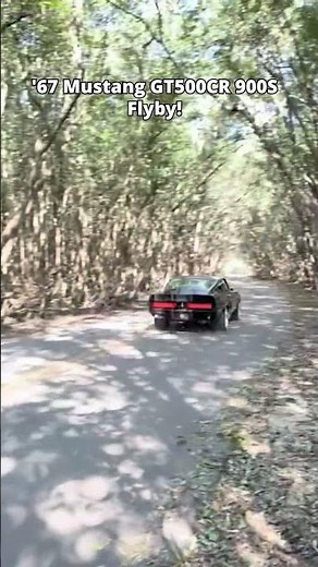 Speedy fastback | Supercharged 427-Powered 1967 Ford Mustang GT500CR 900S