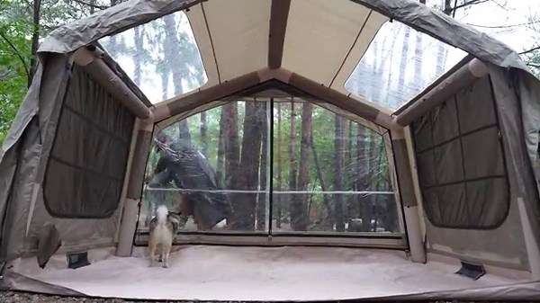 1% LUXURY CAMPING IN THE RAIN ⭐ 5-STAR SUITE INFLATABLE HOTEL?