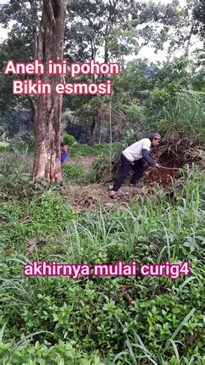 1.3M views · 2.7K reactions | Pas ke 6 x nya jadi tambah ngakak 藍 #komedi #lucu #ngakak #viral | Mumuh Barakatak | Facebook