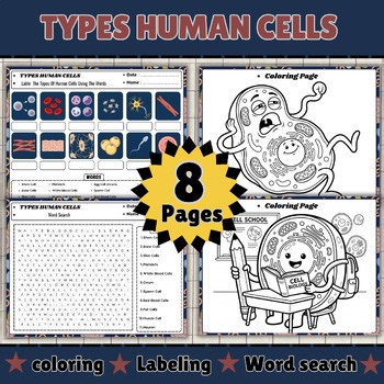 Types of Human Cells Worksheets | | Labeling, Word Search | Human Anatomy  units