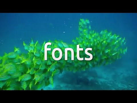 How to install Microsoft Fonts on Zorin OS 16