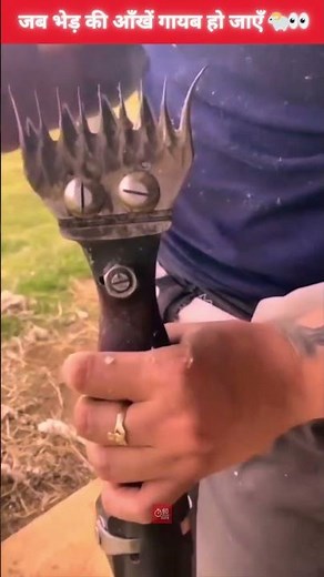 Why Sheep Get Completely Shaved! | Extreme Sheep Shearing Transformation 🐑✂️ | Wool Harvesting Facts