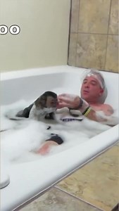 467K views · 4.3K reactions | Monkey bubble jacuzzi bath! #monkey #bubblebath #jacuzzi | MonkeyBoo | Facebook