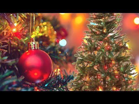How to Use Multicolored Lights on Your Christmas Tree!