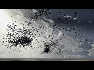 Flock: Realistic Simulation of Starling Murmurations
