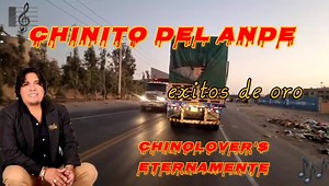 Chinito del ande - éxitos de oro Los tesoros del Perú Chinito Del Ande Chinolovers CHINOLOVERS ETERNAMENTE DE TODO EL PERÚ. | Gatita