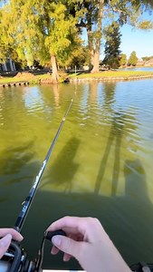 Three go to’s when tying on a clip! #knots #fishingknot #lures #knotsfordays #knotty | Topwater Co