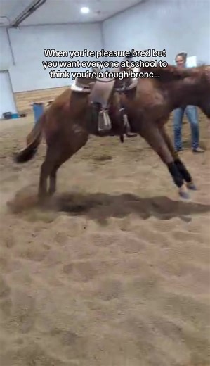 First saddling for this baby bronc but make it western pleasure. #horsemanship #cowgirl #cowboy #coltstarting #horsetraining
