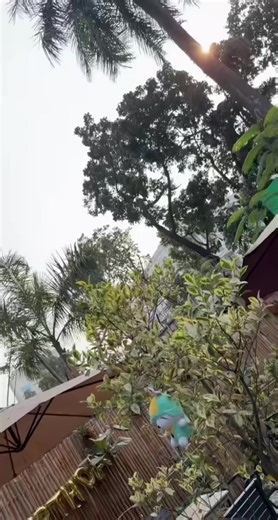 ✨🌸 Eid Exclusive Collection 🌸✨ This elegant blush pink outfit is designed to add grace and charm to your festive look 💖 Featuring delicate embroidery and premium fabric—perfect for celebrating Eid in style ✨ 👛Paired with a beautiful matching potli bag 🎀 to complete the look effortlessly 👛✨ 📌Size customisable we customise according to your body messurment, no ADDITIONAL CHANGES 📩 Inbox us to order 🚚 Cash on Delivery available all over Bangladesh আমাদের অনুমতি ছাড়া আমাদের পেজের কোনো ড্রে