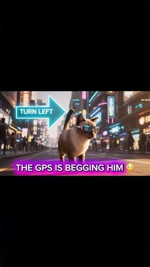 CAT VS AR NAVIGATION