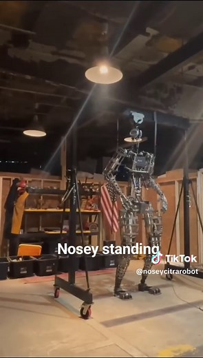 Citra nearly finished Nosey ! #Citra #nosey #animatronic #robot #fyp | citra