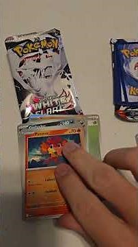 New Unova Pokémon Mini Tin Unboxing | Black Bolt White Flare