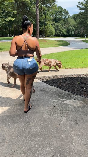 No leashes 🤣🤣🤣🤣 | Alpha Z Hoggz