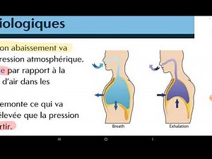 UE1+UE2 : Rappel sur la Physiologie Respiratoire (Hematose + Reflex de Hering + Transport d'oxygène)