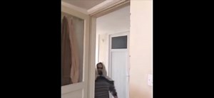 Roblox Hiding Website cookies be like: