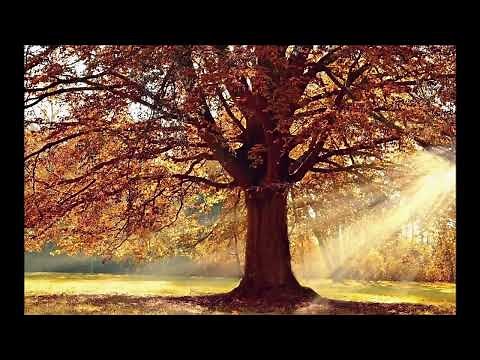 超懐かしい映画音楽集（永久保存版）