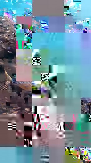 24K views · 965 reactions | Fish haven.  Green zones take you back...