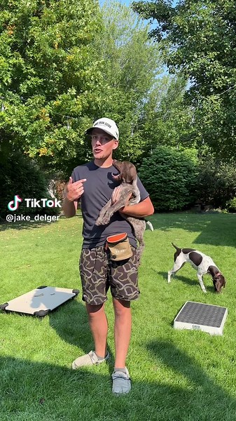 Sage's 7th Training Session: A Confident Pup's Progress