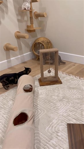 Well, it’s definitely a work in progress 😅 _fix_001 #foryou #foryoupage #fyp | chan yean