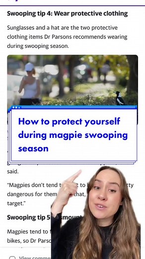 Staying Safe During Magpie Nesting Season