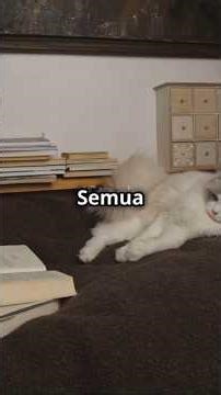 Deduction and its types