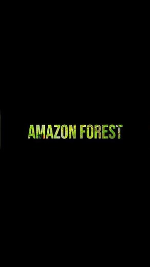 The Amazon Forest. A Hidden World 🌎🤯