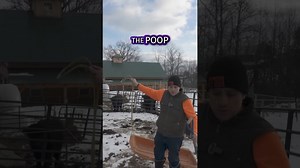 From Poop Shoveling to Compost Gold: My Farm Magic Trick