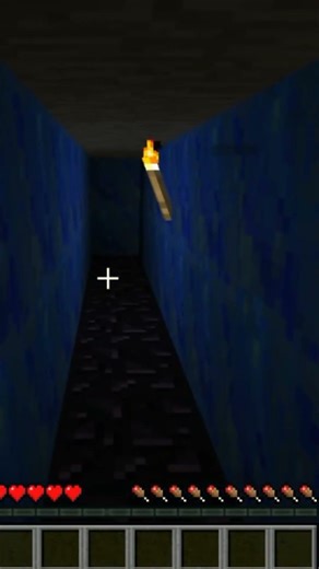 Minecraft Greenfield Disasters - KotoAndSen Let Loose A Blackhole