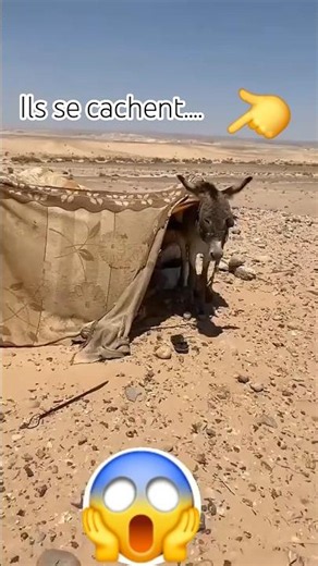 Long live our Malian armed forces 🔥✊🏾