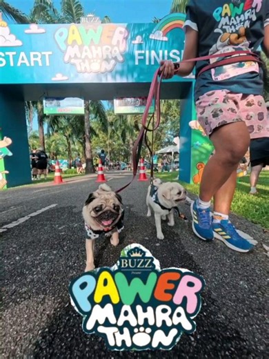 The Wrinkles Pug House on Reels