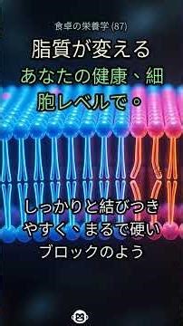 87. あなたの知らない脂質の真実💥 健康を左右する細胞膜の秘密を解き明かす！ #脂質 #脂肪酸 #細胞膜 #飽和脂肪酸 #不飽和脂肪酸 #健康 #栄養学 #分子構造 #衝撃の事実 #食生活