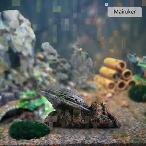 Watch Fish Tank Reptiles Tank Aquarium Accessories on Amazon Live