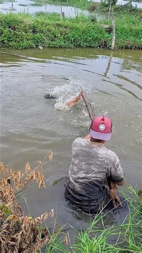 Fishing for nothing is a disgrace 🤣 #comedy #funny #fishing