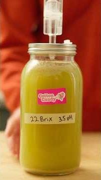 Turning Cotton Candy Grapes into Wine (Part 1)