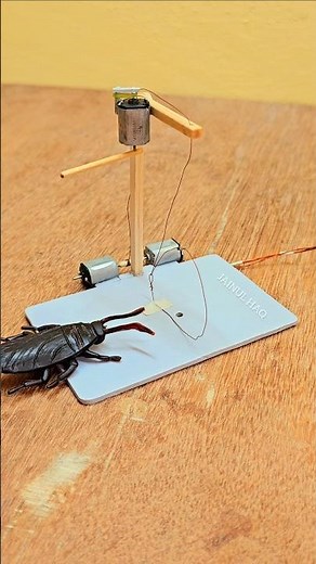 Cockroach trap funny video 😂😂 with 1 sitck dc motor #engineering #trap #funny #electronics