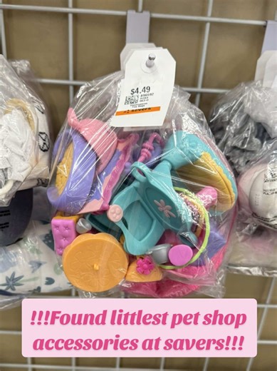 Amazing Find: Littlest Pet Shop Accessories at Savers!