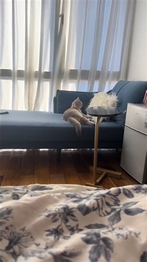 Cute Kid Washing Face: A Heartwarming Moment