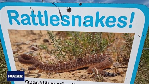 Rattlesnake encounters increase amid warm weather