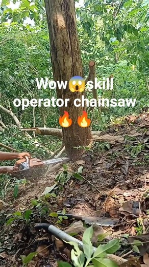 skill operator chainsaw🔥🔥amazing😱 #wood #fyp #logging
