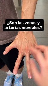 ✌🏻Tanto las arterias como las venas están ancladas, rodeadas y sostenidas por tejido conjuntivo, que actúa como el pegamento del cuerpo. ✌🏻La capa más externa de los vasos, llamada adventicia, se continúa con el tejido conjuntivo, lo que les da estabilidad sin inmovilizarlas por completo. ✌🏼Gracias a ese anclaje, las arterias y venas pueden resistir la presión de cada latido, los movimientos del cuerpo, la contracción de los músculos y los cambios de volumen sanguíneo. ✌🏼En las arterias, el 