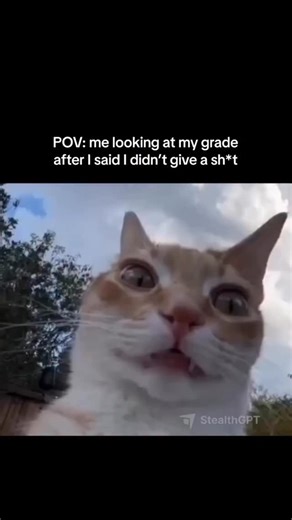 Homework help | homeworkhelp.service Need help with your studies? @homeworkhelp.service is here for you! Get high-quality assignments, always delivered on... | Instagram