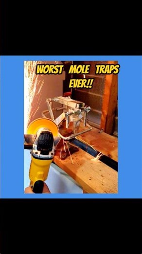 worst mole trap #shorts