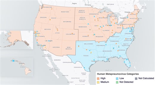 HMPV detections surge across US: should you be worried?
