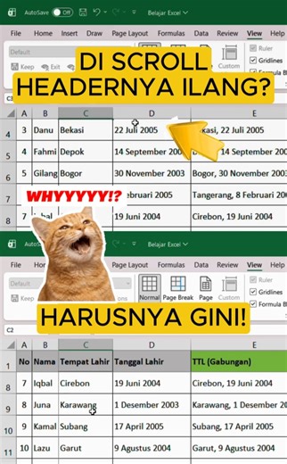 Judul Tabel Hilang Saat Scroll? Ini Solusinya