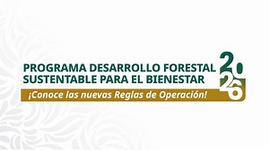 Participa en las Reglas de Operación 2026 del Programa Desarrollo Forestal Sustentable para el Bienestar🌳🌲🌵. 🔗Consulta requisitos y presenta tu solicitud en la Oficina de Representación Estatal más cercana: https://www.conafor.gob.mx/apoyos/index.php/inicio/app_apoyos#/detalle/2026/115 | Comisión Nacional Forestal